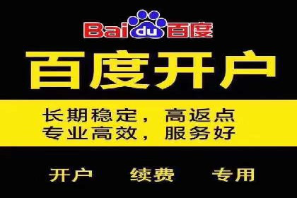 SEM代运营托管公司成功案例分析